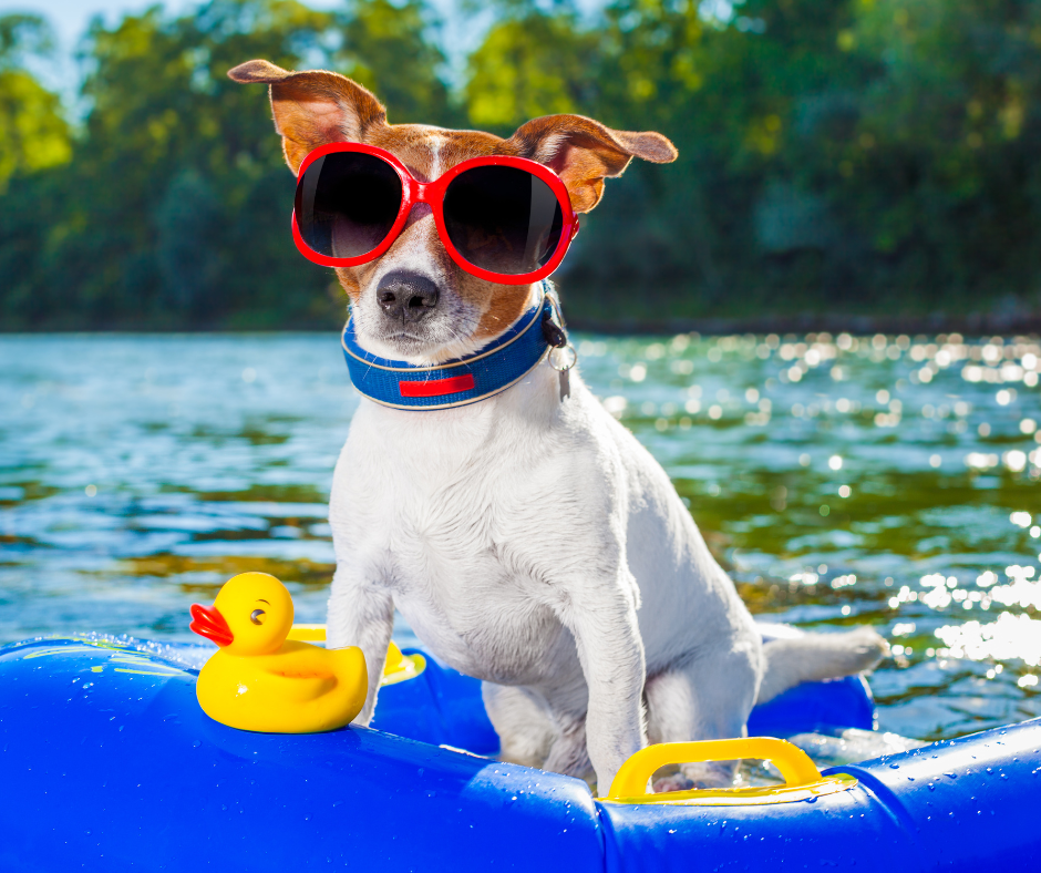5 Fun College Summer Activities