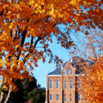 Red Kite’s November Scholarship Spotlight