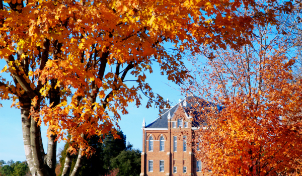 Red Kite’s November Scholarship Spotlight